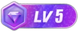 LV5 等级-LV5-电玩纪元