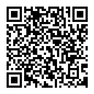 【PC】双影奇境 v25527 官方中文版 容量87.5GB（Split Fiction）-电玩纪元
