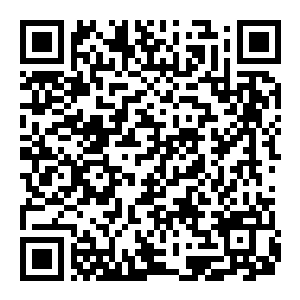 【PC】城市:天际线2(别名都市:天际线2) v1.6.2f1 官方中文版+多项修改器 容量96.2GB(Cities:Skylines II)-电玩纪元