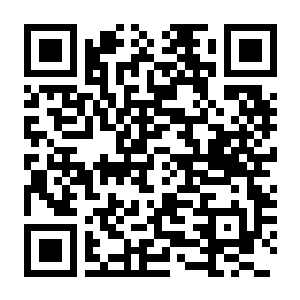 【PC】幻兽帕鲁 v1.0.3.101283 官方中文版+修改器 容量38.3GB(Palworld)-电玩纪元