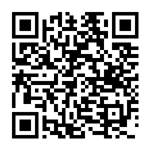 【PC】GTA4 侠盗猎车4 v1.04 内置简中汉化+MOD集成-电玩纪元