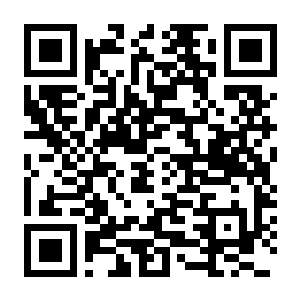 【PC】杀手：暗杀世界 V3.260.1 豪华中文版+零号病人米拉·乔沃维奇+全DLC+季票+修改器+解锁存档-电玩纪元