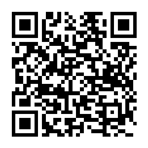 【PC】猎人 荒野的召唤 v3263984 豪华中文版+苏格兰狩猎保护区DLC+全DLC-电玩纪元