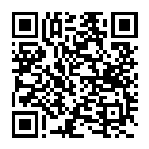 【PC】幻兽帕鲁 Palworld 正式版 V1.0.0.100427 豪华中文版+全新内容+预购特典+全DLC+单机+联机补丁+修改器-电玩纪元