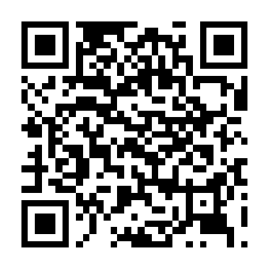 美国卡车模拟 Build.23233063 官方中文版+伊利诺伊州DLC+全DLC-电玩纪元