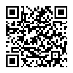 【PC】骑马与砍杀2：霸主 v1.4.8 豪华中文版+全DLC+多项修改器 容量90GB（Mount & Blade II：Bannerlord）-电玩纪元