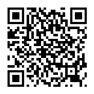 【PC】生化女神 末日开端 Build.24111317 官方中文版+粤语语音+全DLC-电玩纪元