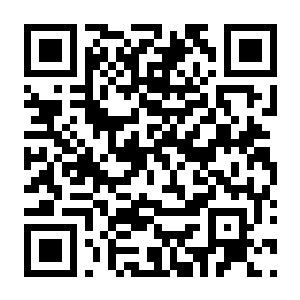 图片[2]-【PC】雨中冒险2 Build.25475991 豪华中文版+万象归衡DLC+全DLC（Risk of Rain 2）-电玩纪元