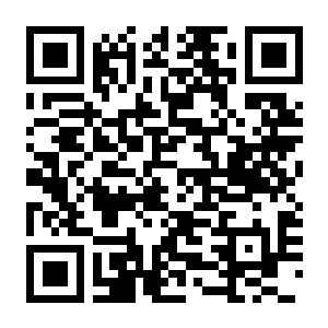 【PC】PC装机模拟器2 v1.16.05 豪华中文版+全DLC+季票-电玩纪元