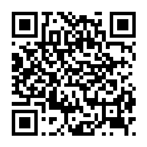 【PC】使命召唤20：现代战争3 2023 Build.19183238 豪华中文版+灭世危机+丧尸-电玩纪元