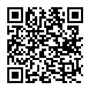 【PC】都市 天际线 V1.21.1-F9 豪华中文版+全新扩展包竞速日+全DLC+全季票-电玩纪元