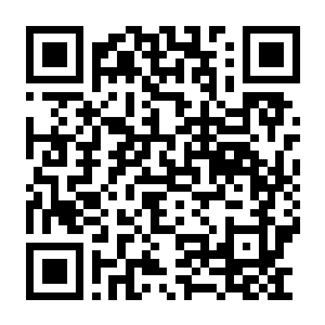 【PC】庄园领主 Build.24113073 官方中文版+全DLC+预购特典（Manor Lords）-电玩纪元