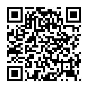 【PC】冰汽时代2 Build.23873761 更新灰烬誓约DLC 中字国语+全DLC+预购奖励+原生带-数字画册+中篇小说+修改器-电玩纪元