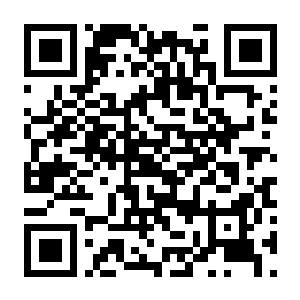 战锤40000 战区 V1.7.0 官方中文版+超凡蓝骑士DLC+全DLC丨战锤40K:战区-电玩纪元