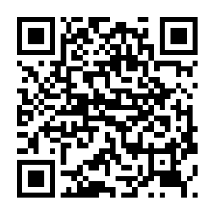 英雄连3 v2.4.0.46121 豪华中文版+预购特典+全DLC-电玩纪元