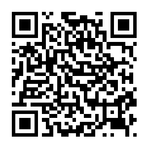 【PC】卡牌生存:奇幻森林 官方中文版+全DLC Card Survival:Fantasy Forest-电玩纪元