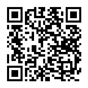 【PC】勇者斗恶龙7 重制版 非虚拟机 解压即撸 Build.22412021 含越海启程+光辉指引+豪华中文版+全DLC-电玩纪元