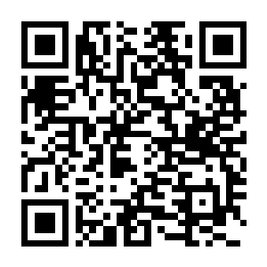 【PC】帝国时代2：决定版 v180059 官方中文版+多项修改器 容量53.6GB（Age of Empires II：Definitive Edition）-电玩纪元