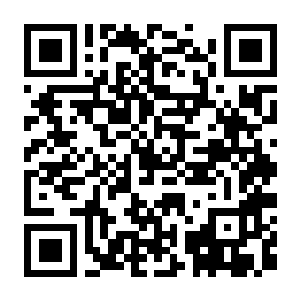 【PC】幻想生活i 转圈圈的龙和偷取时间的少女 v2.2.0 官方中文版+支持键盘.鼠标.手柄+赠多项修改器 容量14.1GB（FANTASY LIFE i：The Girl Who Steals Time）-电玩纪元