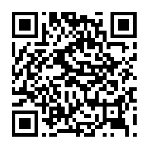 【PC】逃离塔科夫 v4.1.2 官方中文版 容量57.8GB（Escape from Tarkov）-电玩纪元