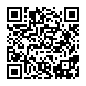 驯牌师 Decktamer Build.23404869 豪华中文版+全DLC-电玩纪元