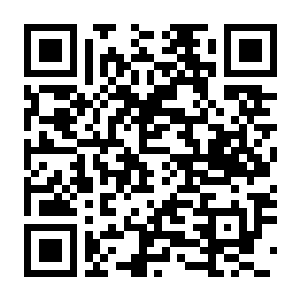 骰子骑士录 Build.22398987 豪华中文版-电玩纪元