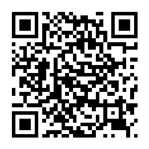 【PC】暗黑破坏神2 狱火重生 重制炼狱版 V3.2.93236 官方中文国语+术士君临+术士MOD整合+存档-电玩纪元