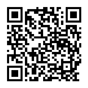 苏丹的游戏 Build.22706018 豪华中文版+修改器-电玩纪元