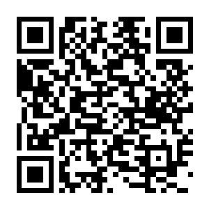 【PC】息风谷战略 Build.24369025 含风起云涌DLC+云隐探秘DLC+豪华中文版+全DLC-电玩纪元