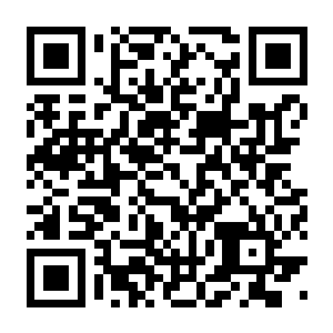 【PC】人中之龙8外传：夏威夷海盗（别名如龙8外传：夏威夷海盗）v1.14(Build.18023911) HYPERVISOR 官方中文版 容量55.3GB（Like a Dragon：Pirate Yak…-电玩纪元