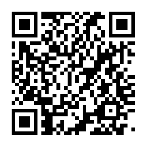 【PC】巴别塔 :混乱的幸存者 v1.0.2 官方中文版+支持者包DLC+全DLC+支持手柄-电玩纪元