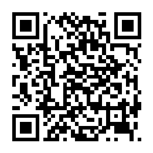 【PC】人性末日（别名人类Z）v1.09.A 豪华中文版+全DLC 容量22.7GB（HumanitZ）-电玩纪元