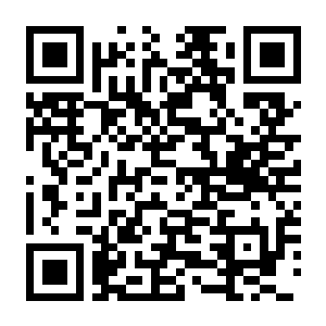 【PC】不/存在的逐梦者 银葱之森 Build.24196402 官方中文版+全DLC-电玩纪元