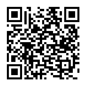 【PC】多重人生 v2.0.1 含最终变量DLC+豪华中文版+预购特典+全DLC+支持手柄-电玩纪元