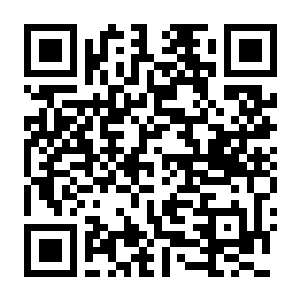 【PC】严阵以待 Build.24942528 官方中文版 容量45.3GB(Ready or Not)-电玩纪元