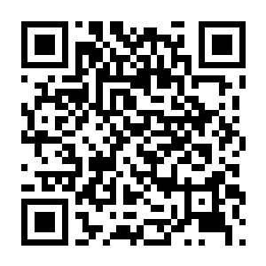 陨世之泪 涅槃 Build.22665157 豪华中文版+全DLC-电玩纪元