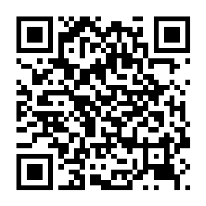 【PC】女神异闻录3 重制版 Build.22672075 非虚拟机版 官方中文版+整合DLC 容量20.2GB（Persona 3：Reload）-电玩纪元