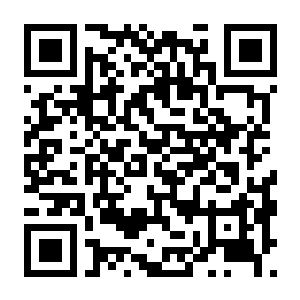 【PC】鸦卫奇旅 v1.05 豪华中文版+盗贼之歌DLC+全DLC-电玩纪元