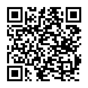 【PC】波斯王子：失落的王冠 Build.17528300 非虚拟机版 官方中文版+整合DLC 容量28.6GB（Prince of Persia：The Lost Crown）-电玩纪元