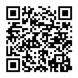 巴塞罗那酒店 v1.2.0 官方中文版+全DLC（HOTEL BARCELONA）-电玩纪元