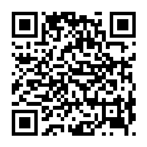 覆雪之上 Build.22996506 官方中文版+全DLC-电玩纪元