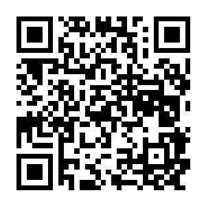 【PC】灰烬之国 Build.24184082 豪华中文版+修复大量BUG+全DLC-电玩纪元