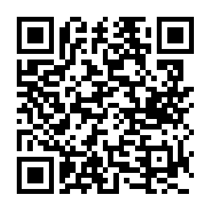 四海兄弟 故乡 非虚拟机 解压即玩 Build.20960235 豪华中文版+全DLC+预购特典-电玩纪元