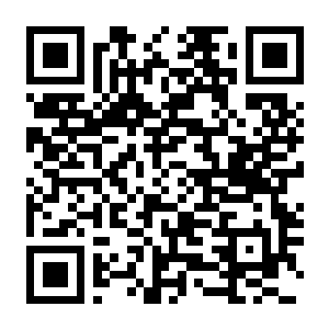 冒险家商店 v0.4.3 官方中文+全DLC-电玩纪元