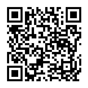 庞贝:遗产 v1.000.6 中文正式版-电玩纪元
