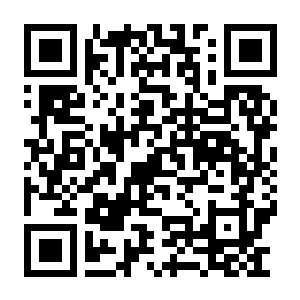 星火燎原 Build.22936003 豪华中文版 +全DLC(SPARK IGNITES)-电玩纪元