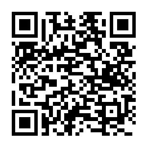 圣辉战记 Build.22854188 官方中文版+全DLC-电玩纪元
