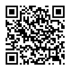 【PC】农夫王朝2 Build.24609202 官方中文版 容量21.8GB（Farmer's Dynasty 2）-电玩纪元