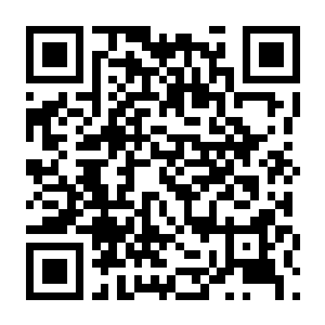 CF单机带生化(起源引擎)(集成no_steam补丁)-电玩纪元