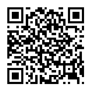 【PC】哀鸿 城破十日记 Build.24181263 豪华中文版+全DLC-电玩纪元